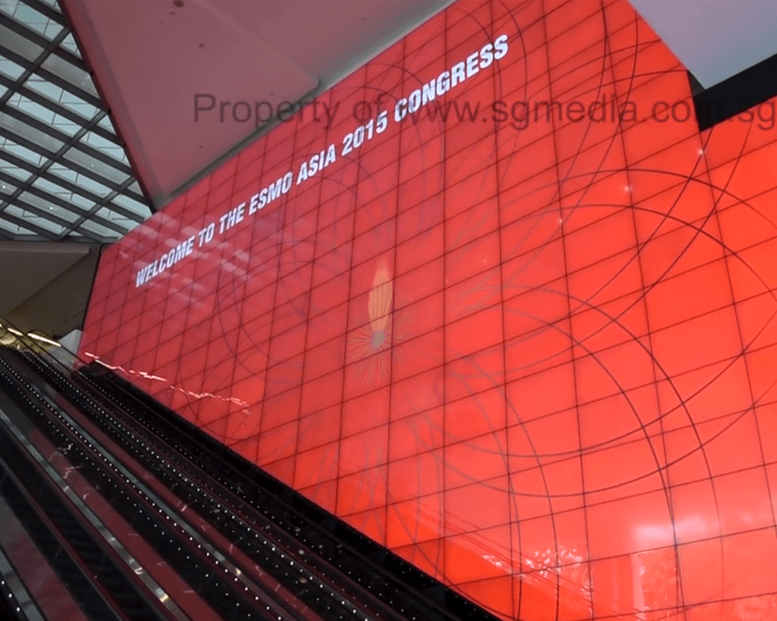 Large Format Outdoor Advertising Video